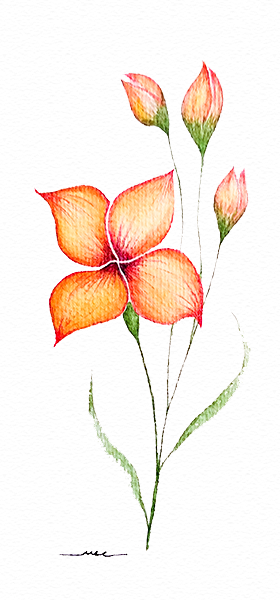 Acuarela Tarjeta Ramillete